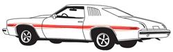 Decal, 1973 Lemans, Body Stripe Kit, GT