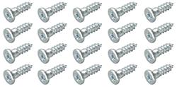 Window Molding Clip Screw Set of 20