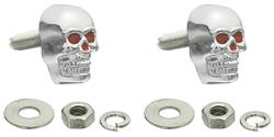 Fasteners, License Plate, Skull