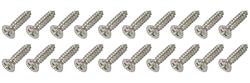 Screw, Sill Plate, 1960-69 Corvair, 20-Piece