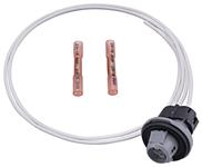 Bulb Socket, License Lamp, 2004-09 XLR/XLR-V